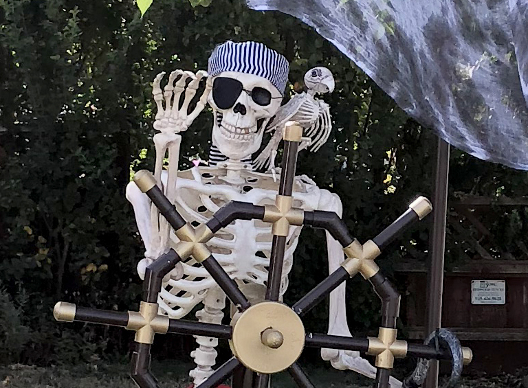 Halloween: Pirate Display