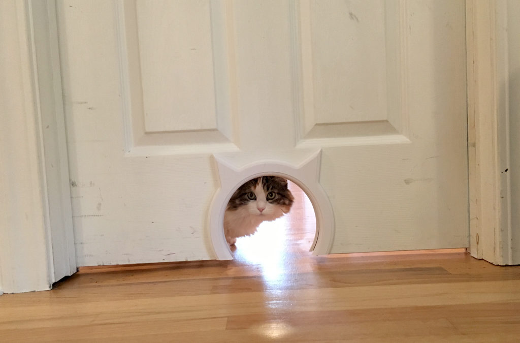 The Cat Door